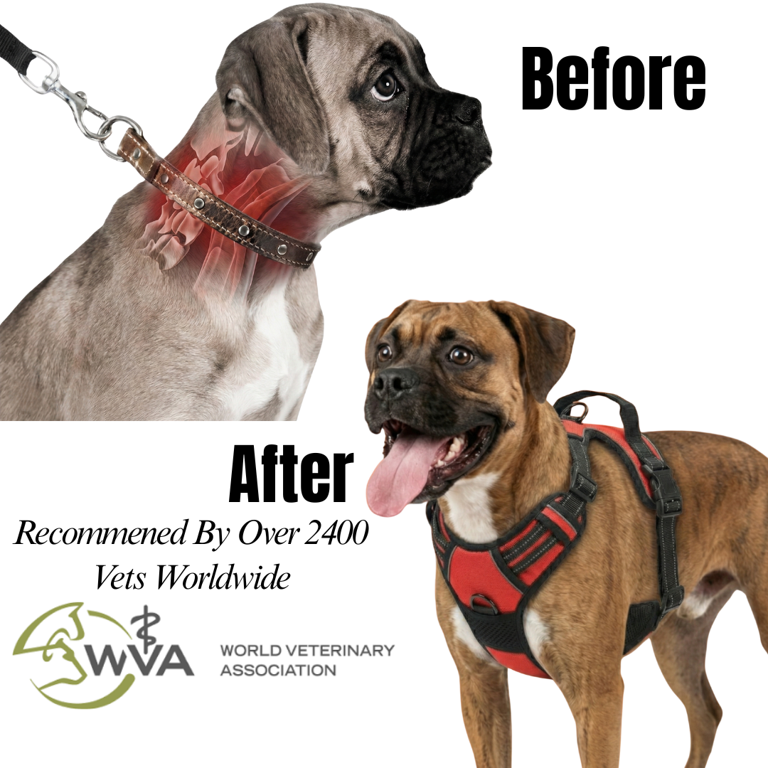 ComfortSafe Harness ™