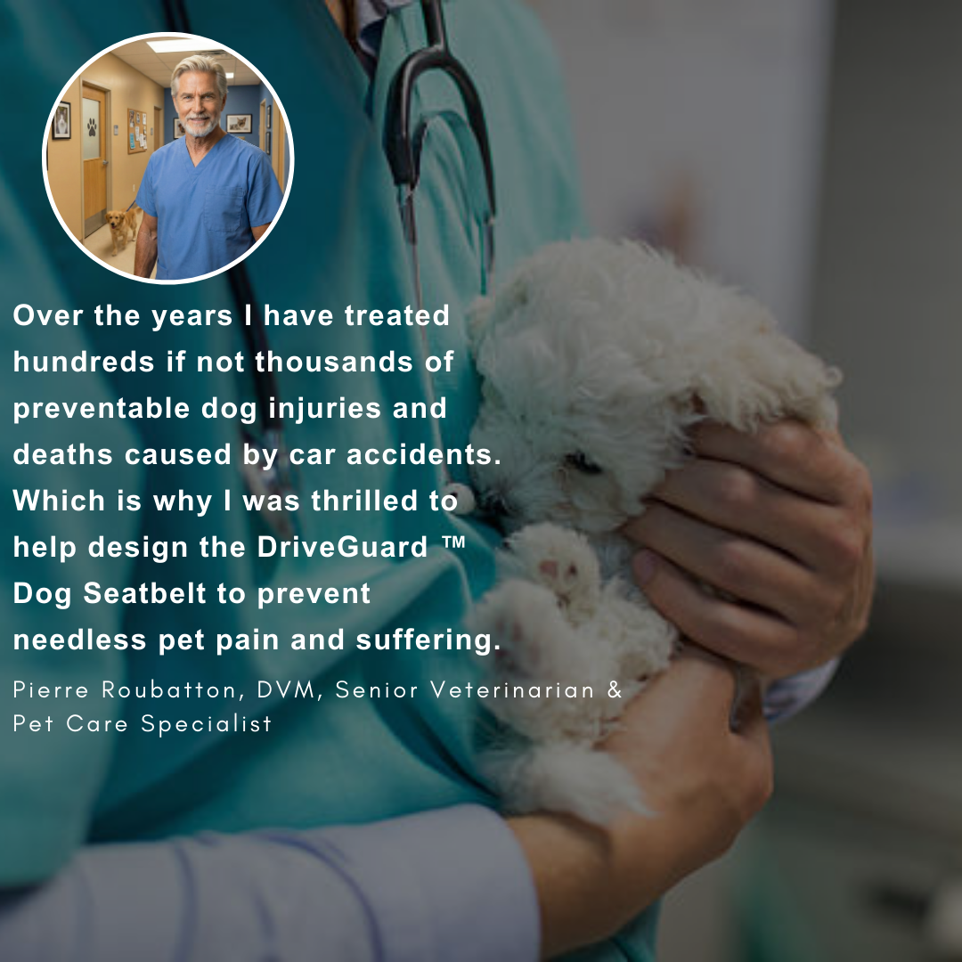 Drive Guard ™ Dog Seatbelt