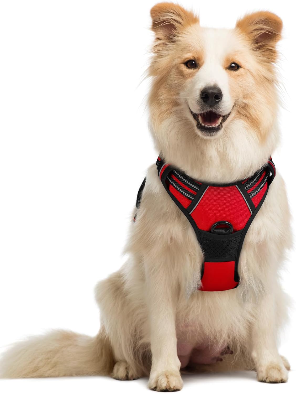 ComfortSafe Harness ™