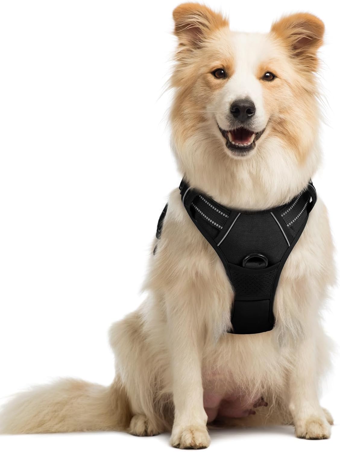 ComfortSafe Harness ™