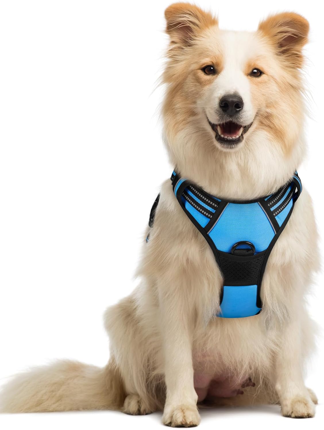 ComfortSafe Harness ™