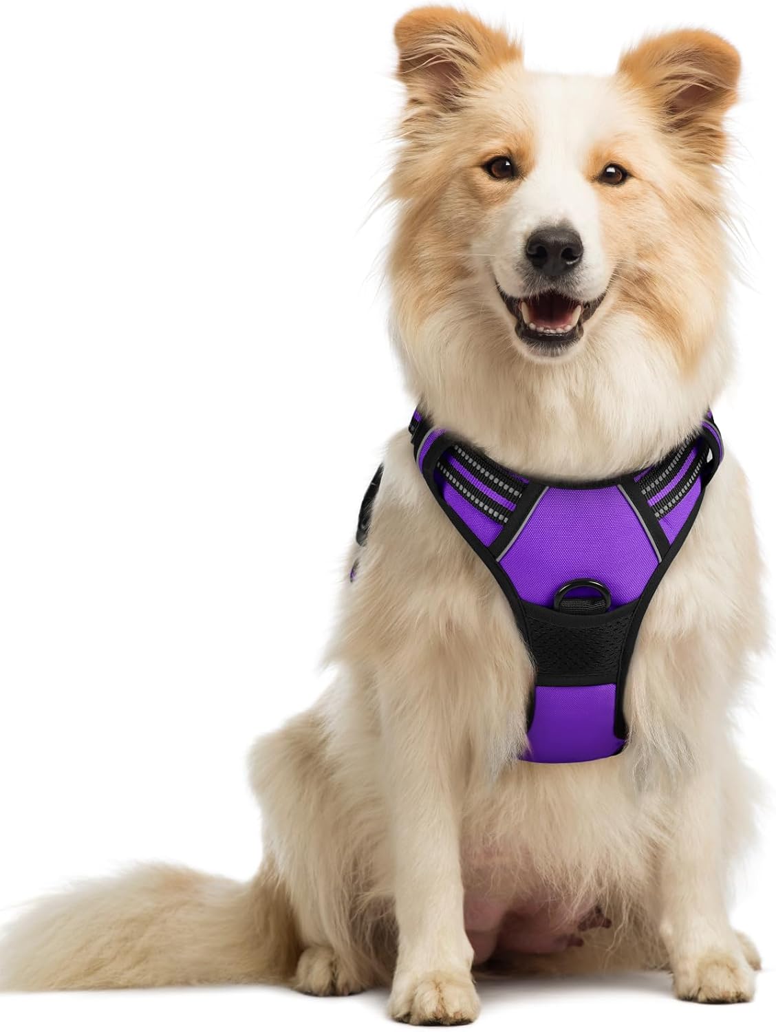 ComfortSafe Harness ™