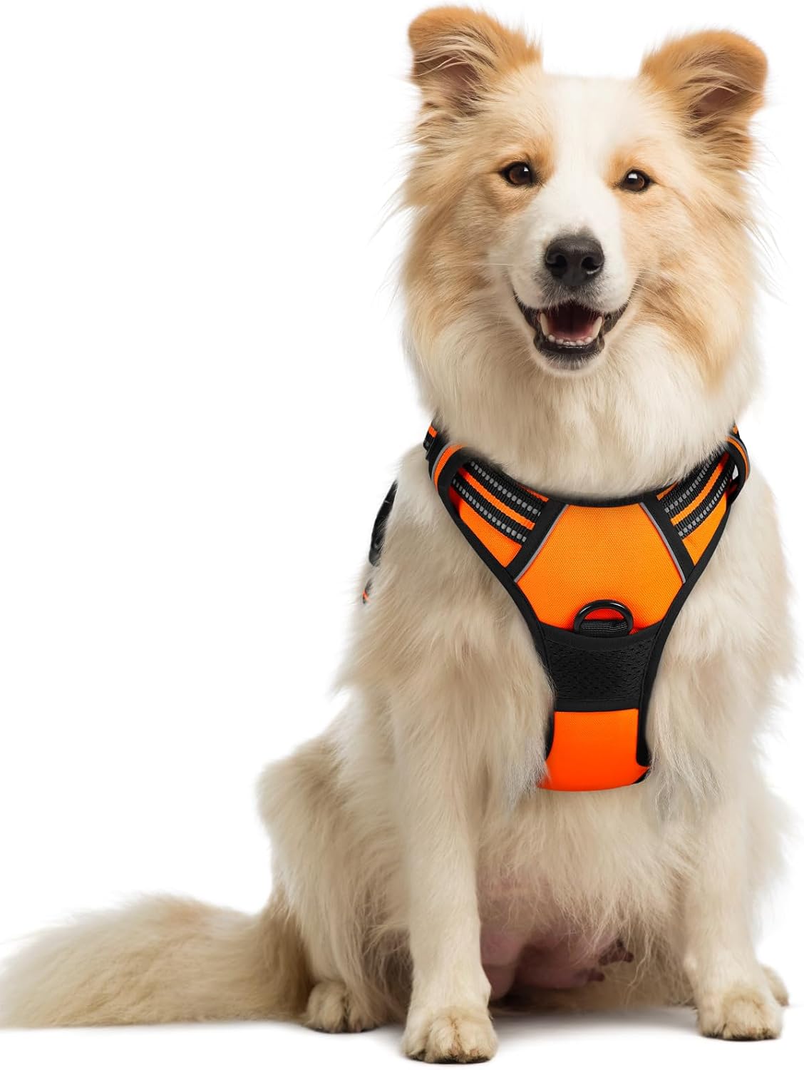 ComfortSafe Harness ™