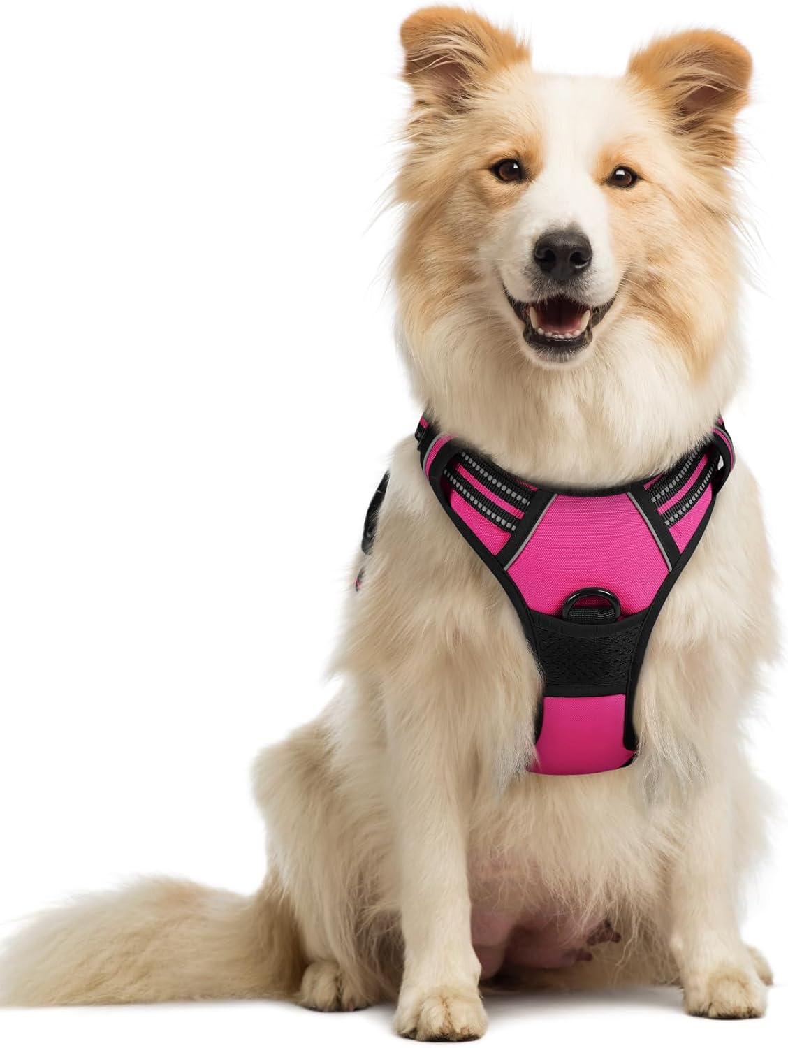 ComfortSafe Harness ™